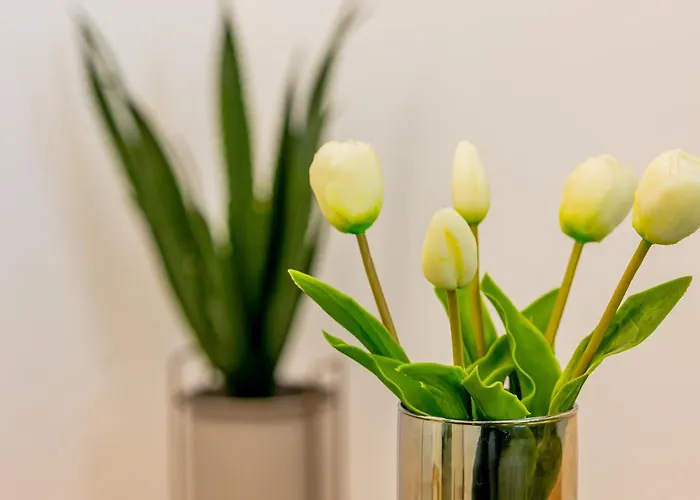 Miramar - Alezzi Infinity شقة Năvodari